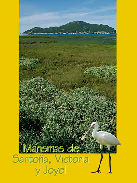 Folleto Guía Marismas de Santoña