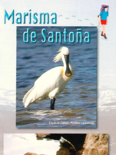 Folleto turístico rutas Marismas de Santoña